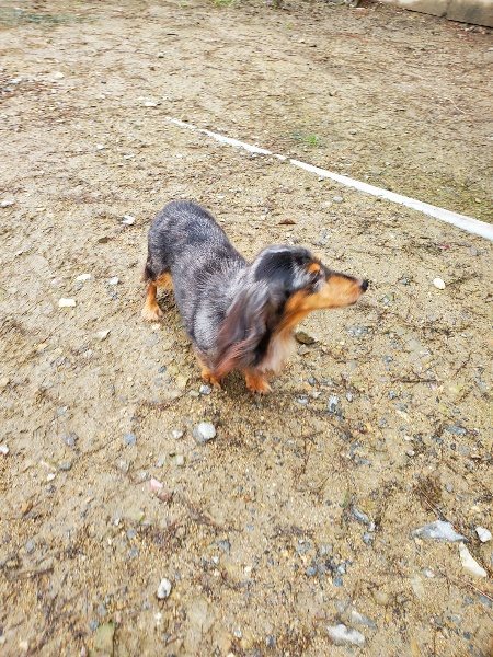 f:id:roukenhome-ann:20191020122419j:plain
