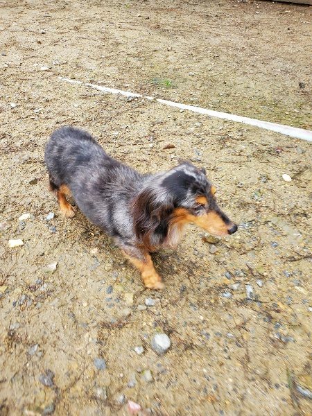 f:id:roukenhome-ann:20191020122426j:plain
