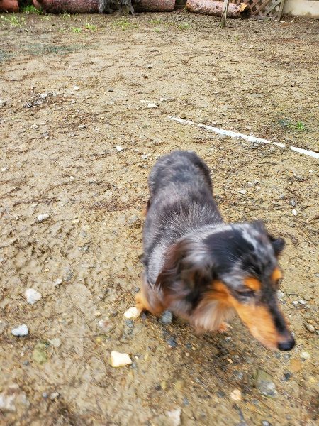 f:id:roukenhome-ann:20191020122438j:plain