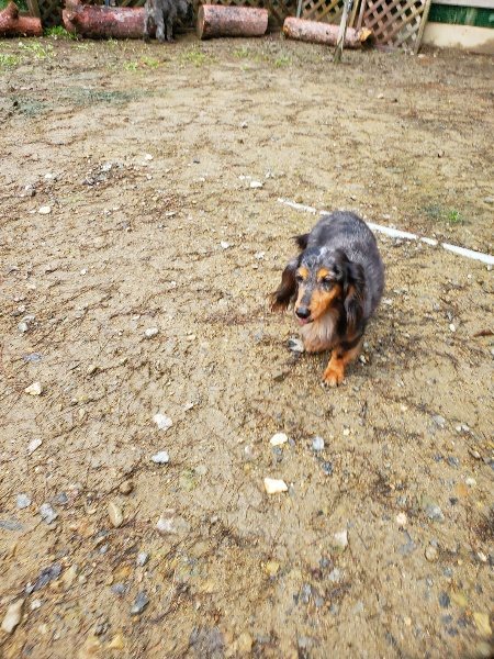 f:id:roukenhome-ann:20191020122455j:plain