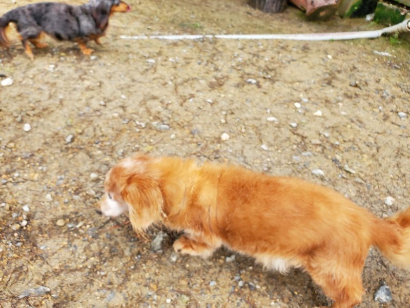 f:id:roukenhome-ann:20191020122555j:plain