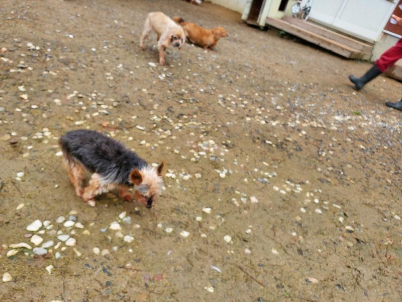 f:id:roukenhome-ann:20191020122717j:plain