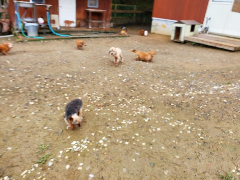 f:id:roukenhome-ann:20191020122736j:plain
