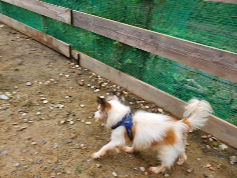f:id:roukenhome-ann:20191020122846j:plain