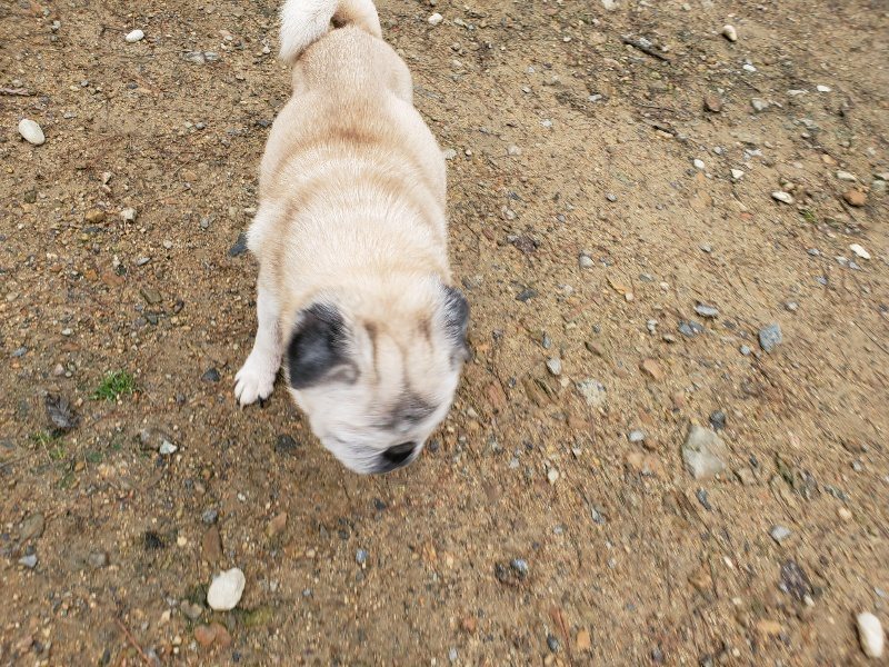 f:id:roukenhome-ann:20191020123017j:plain