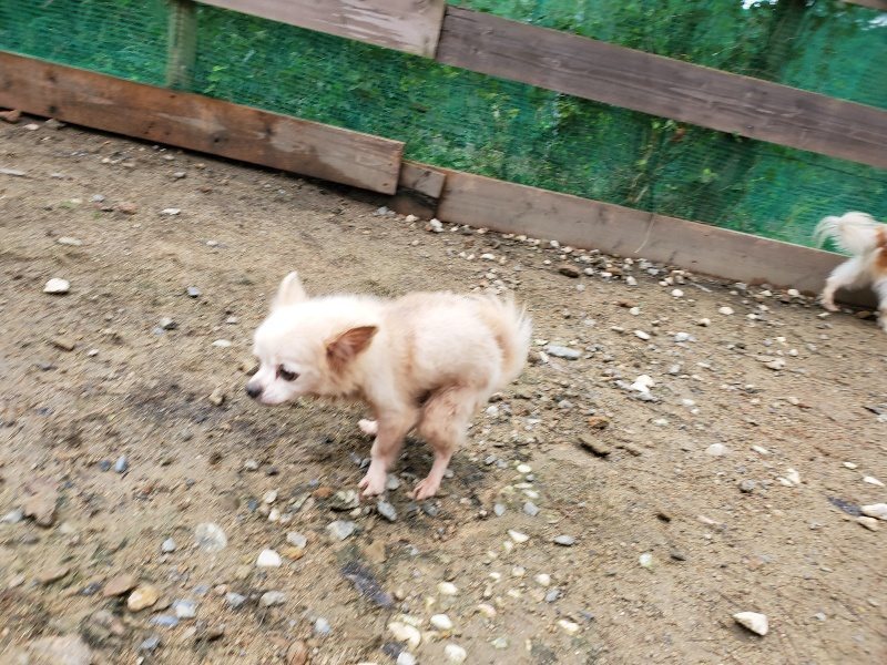 f:id:roukenhome-ann:20191020123043j:plain