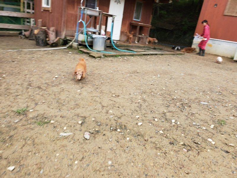 f:id:roukenhome-ann:20191020123050j:plain