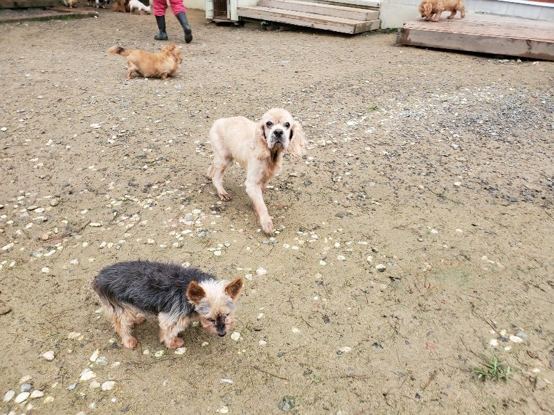 f:id:roukenhome-ann:20191020123207j:plain
