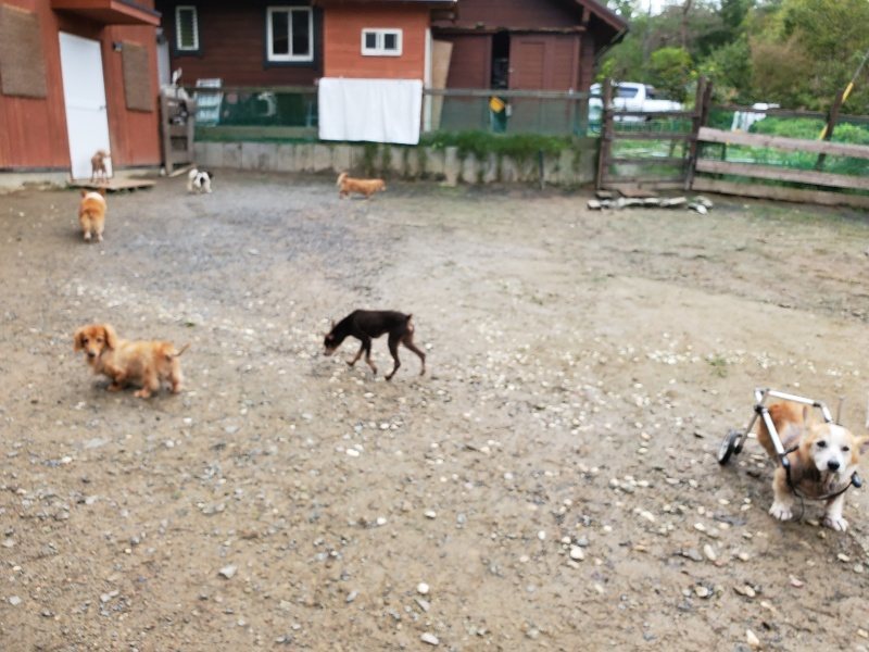 f:id:roukenhome-ann:20191020123251j:plain