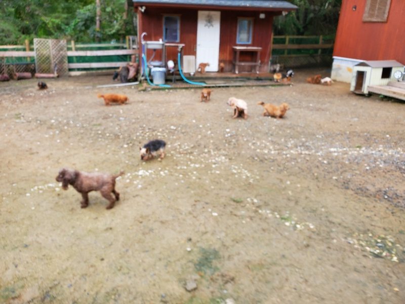 f:id:roukenhome-ann:20191020123330j:plain