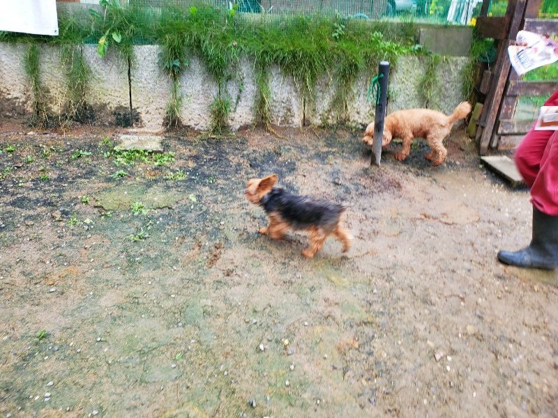 f:id:roukenhome-ann:20191020123412j:plain