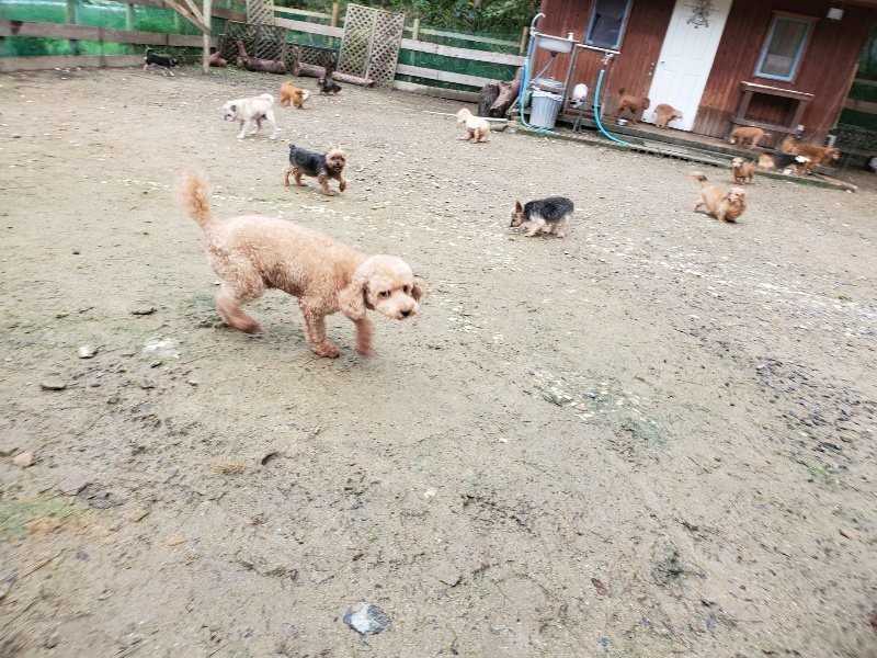 f:id:roukenhome-ann:20191020123517j:plain