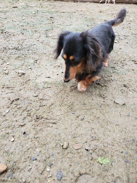 f:id:roukenhome-ann:20191020123603j:plain