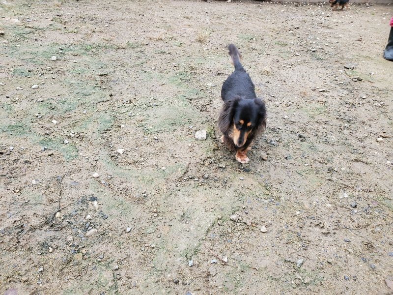 f:id:roukenhome-ann:20191020123619j:plain