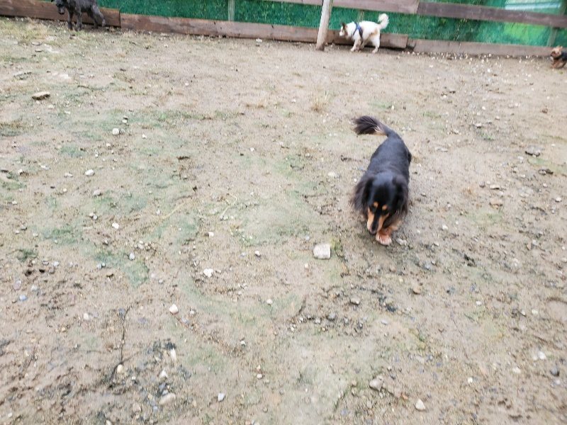 f:id:roukenhome-ann:20191020123633j:plain
