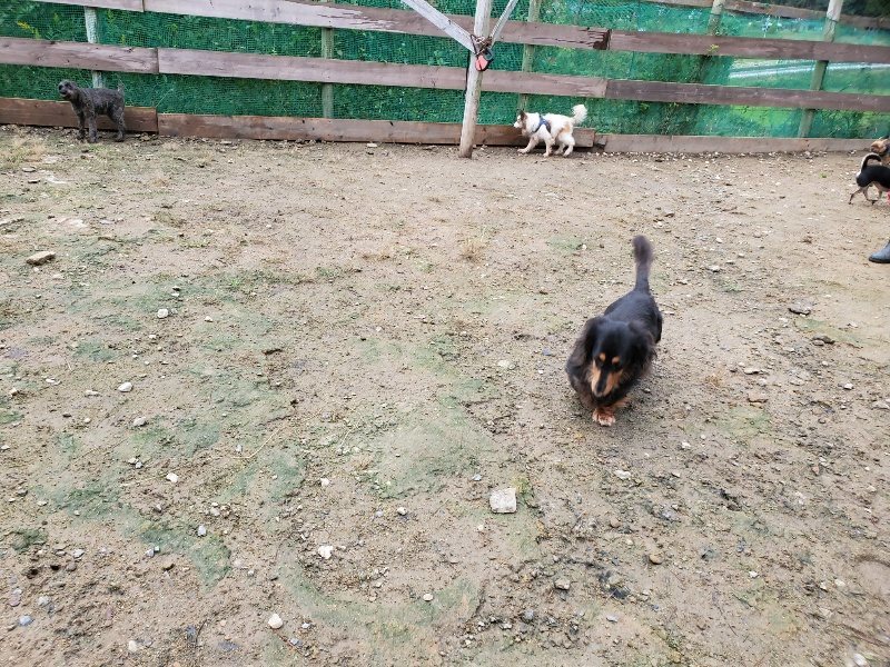 f:id:roukenhome-ann:20191020123658j:plain