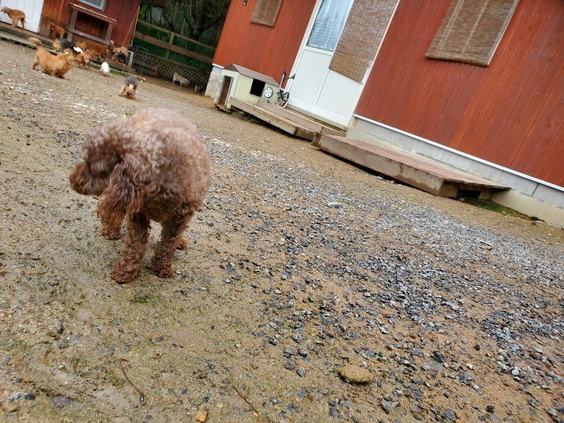 f:id:roukenhome-ann:20191020123712j:plain