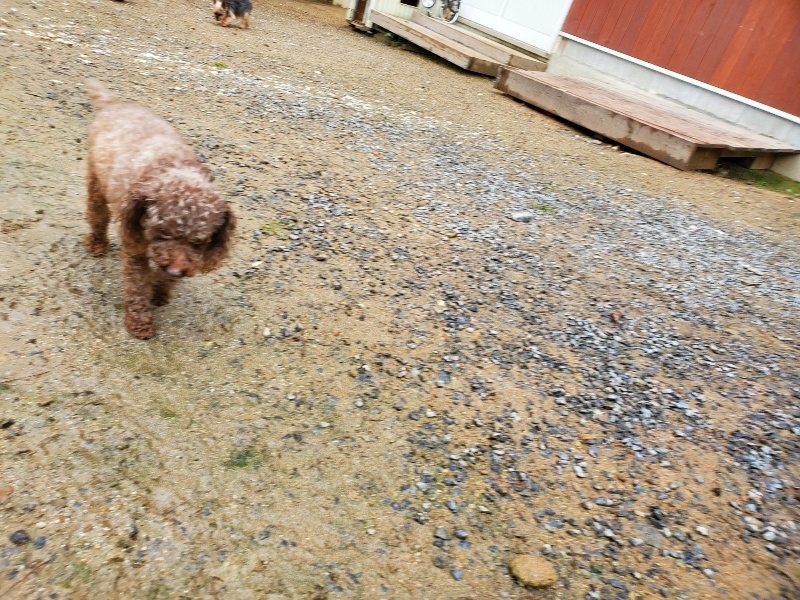 f:id:roukenhome-ann:20191020123729j:plain