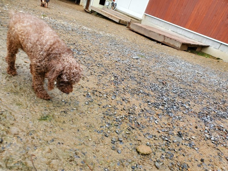 f:id:roukenhome-ann:20191020123739j:plain
