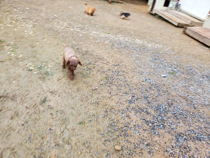 f:id:roukenhome-ann:20191020123802j:plain