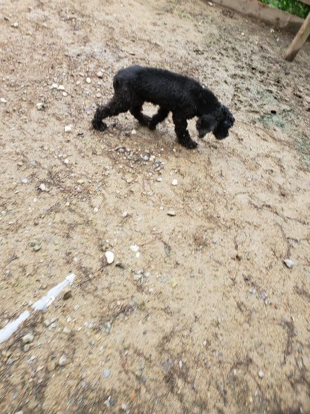 f:id:roukenhome-ann:20191020123925j:plain