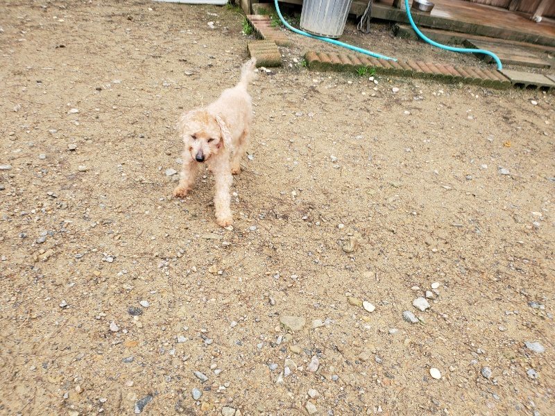 f:id:roukenhome-ann:20191020124035j:plain