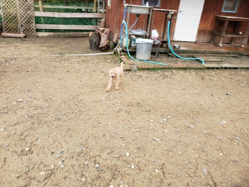 f:id:roukenhome-ann:20191020124048j:plain