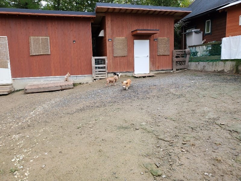 f:id:roukenhome-ann:20191020124104j:plain