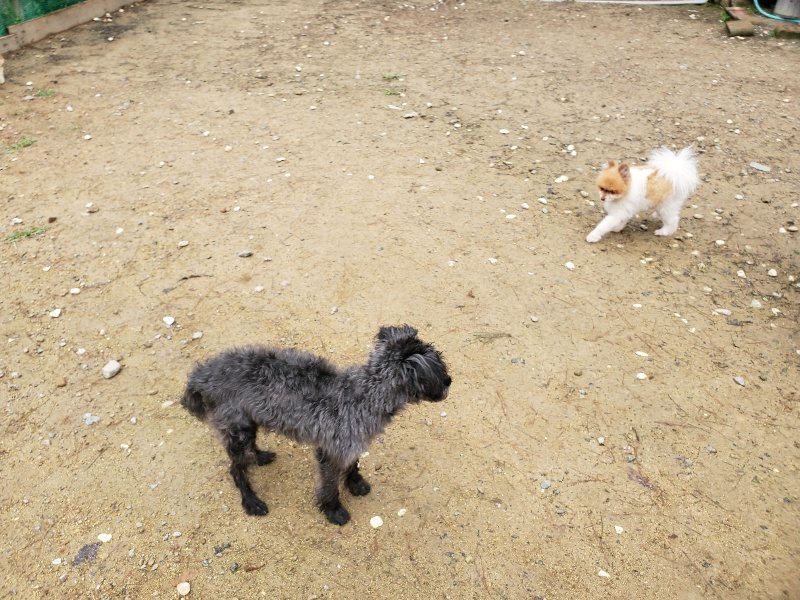 f:id:roukenhome-ann:20191020124241j:plain