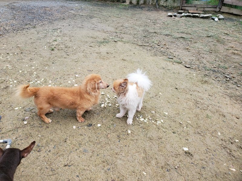 f:id:roukenhome-ann:20191020124257j:plain