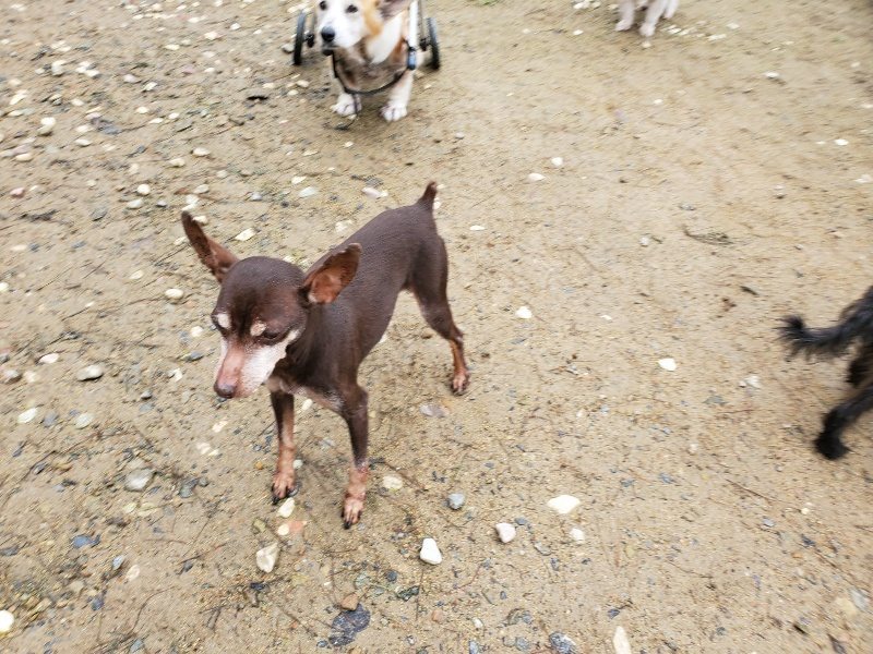 f:id:roukenhome-ann:20191020124334j:plain