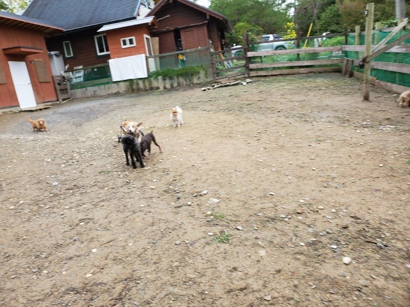 f:id:roukenhome-ann:20191020124412j:plain
