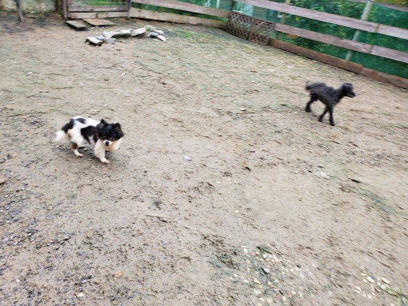 f:id:roukenhome-ann:20191020124522j:plain