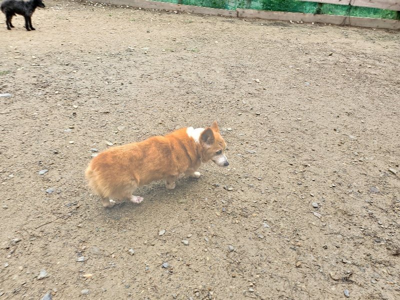 f:id:roukenhome-ann:20191020124656j:plain