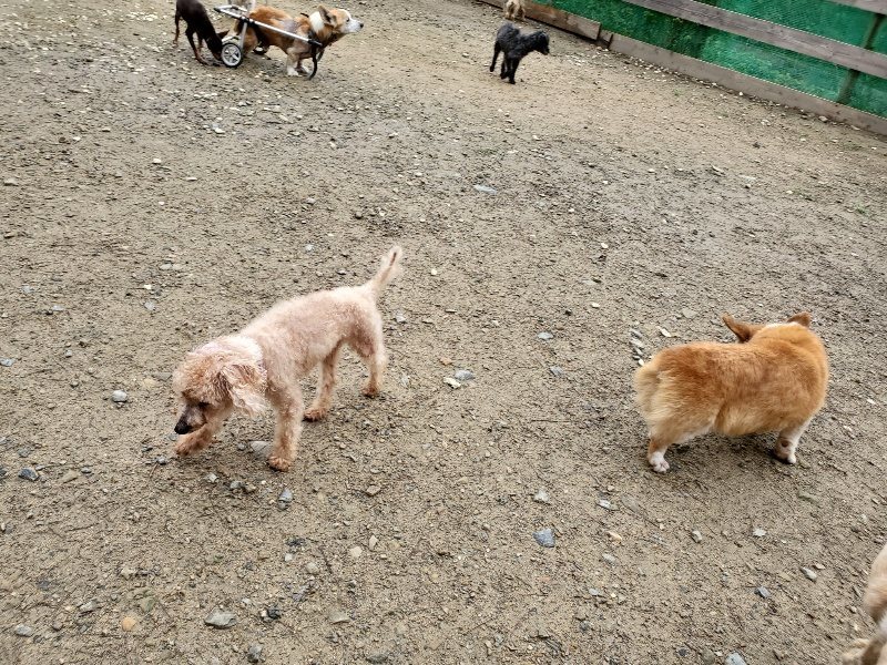 f:id:roukenhome-ann:20191020124704j:plain