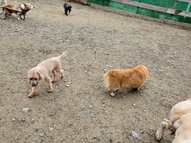 f:id:roukenhome-ann:20191020124726j:plain