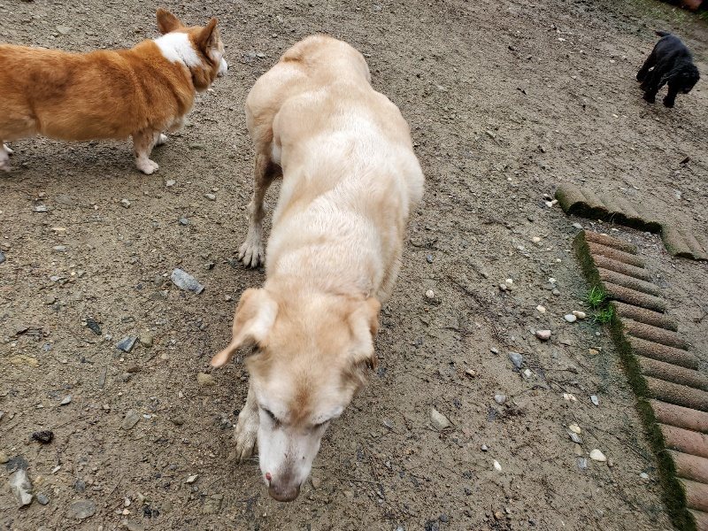 f:id:roukenhome-ann:20191020124735j:plain