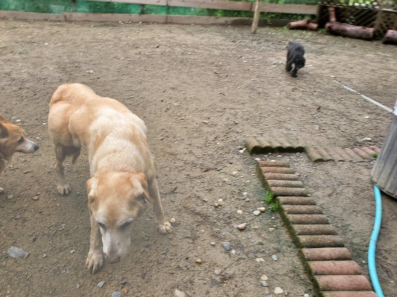 f:id:roukenhome-ann:20191020124746j:plain