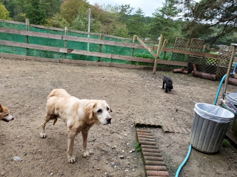 f:id:roukenhome-ann:20191020124824j:plain