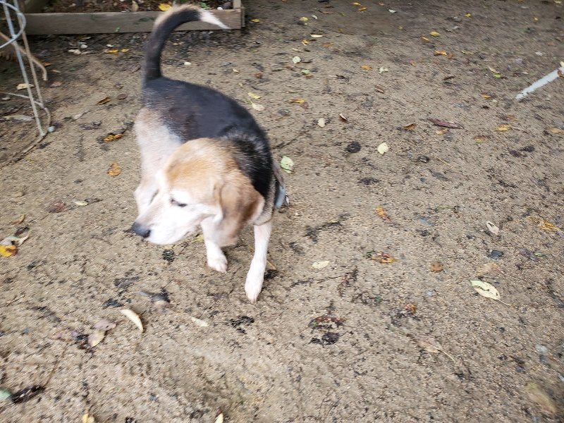 f:id:roukenhome-ann:20191020124840j:plain