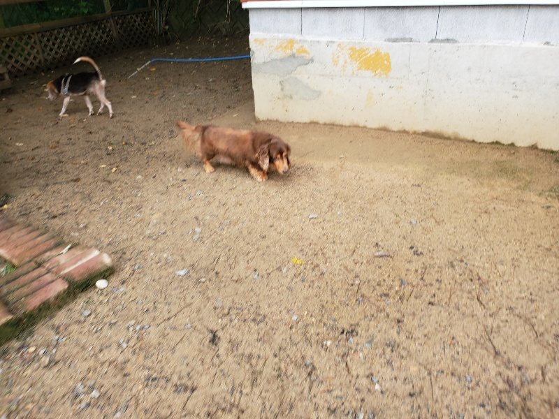 f:id:roukenhome-ann:20191020125044j:plain