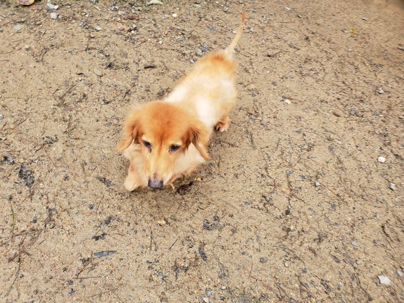 f:id:roukenhome-ann:20191020125134j:plain