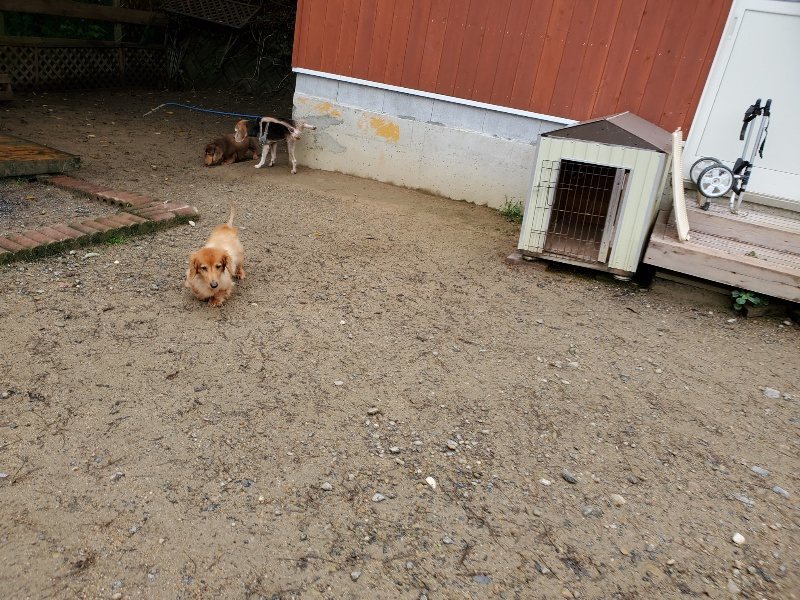 f:id:roukenhome-ann:20191020125212j:plain