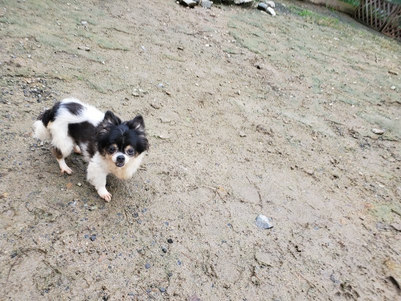 f:id:roukenhome-ann:20191020125332j:plain
