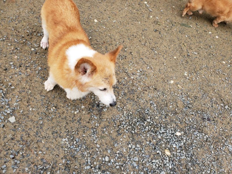 f:id:roukenhome-ann:20191020131908j:plain
