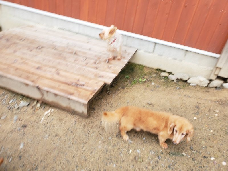 f:id:roukenhome-ann:20191020131916j:plain