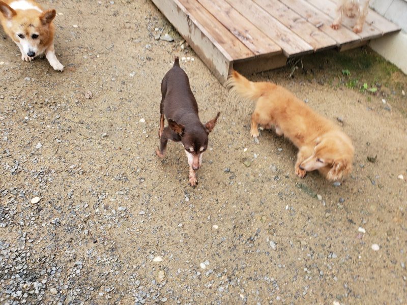 f:id:roukenhome-ann:20191020131939j:plain