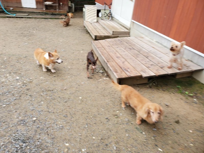 f:id:roukenhome-ann:20191020131958j:plain