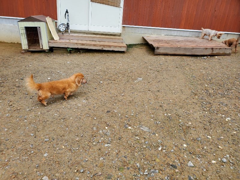 f:id:roukenhome-ann:20191020132220j:plain