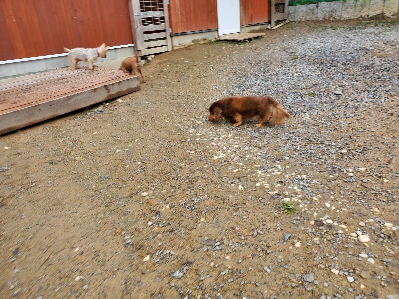 f:id:roukenhome-ann:20191020132226j:plain